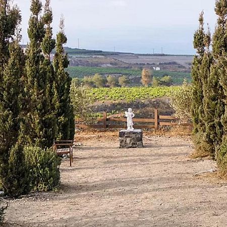 Christou Estate & Villas Пиргос Экстерьер фото
